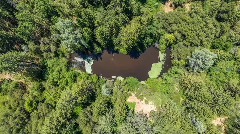 View/Area - 17832 Carter Ln, Jackson, CA 95642 photo 9 of 11