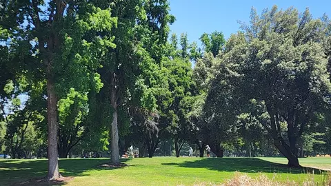 Other - 1539 Mendota Way, Carmichael, CA 95608 photo 16 of 17