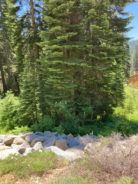 230 Norton Meadows Rd, Bucks Lake, CA 95971