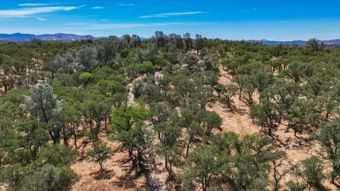 2758 Singletree Dr, Copperopolis, CA 95228 photo 20