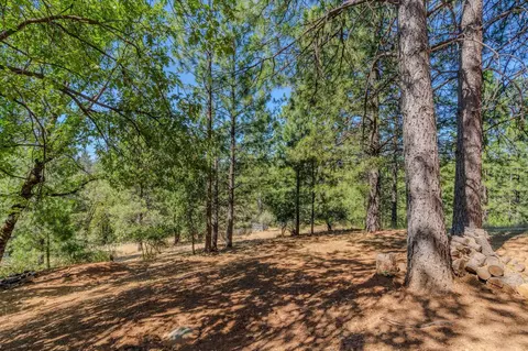 20880 Warner Rd E, Pine Grove, CA 95665 photo 8