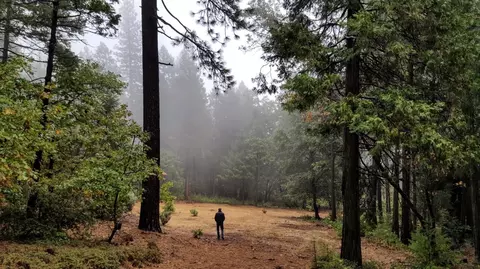 13863 Altair Dr, Nevada City, CA 95959