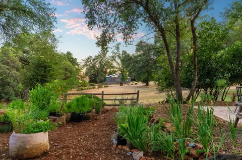14 Avalon St, Placerville, CA 95667 photo 3