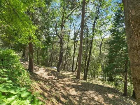 Exterior - 12158 E Brookview Dr, Grass Valley, CA 95945 photo 23 of 25