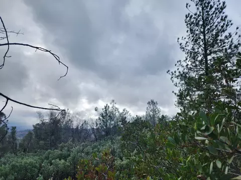 16770 Stellar Rd, Grass Valley, CA 95949 photo 26