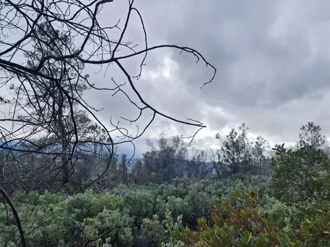 16770 Stellar Rd, Grass Valley, CA 95949 photo 23