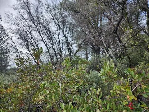 16770 Stellar Rd, Grass Valley, CA 95949 photo 29