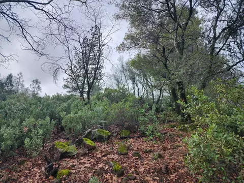 16770 Stellar Rd, Grass Valley, CA 95949 photo 31