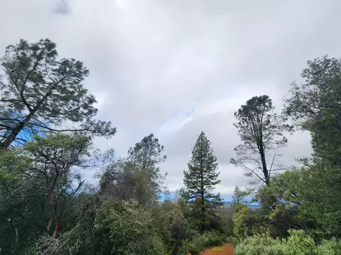 16770 Stellar Rd, Grass Valley, CA 95949 photo 6