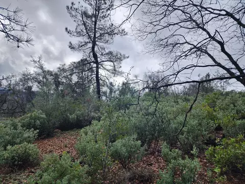 16770 Stellar Rd, Grass Valley, CA 95949 photo 32