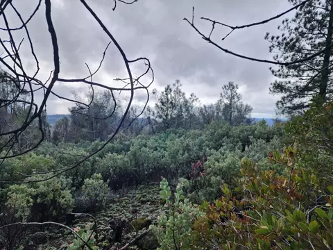 16770 Stellar Rd, Grass Valley, CA 95949 photo 28