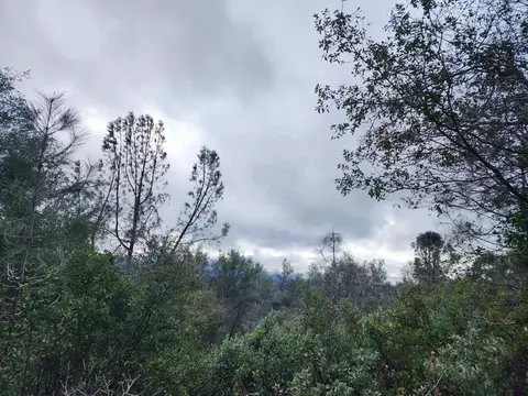 16770 Stellar Rd, Grass Valley, CA 95949 photo 18