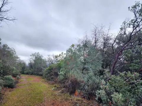 16770 Stellar Rd, Grass Valley, CA 95949 photo 15