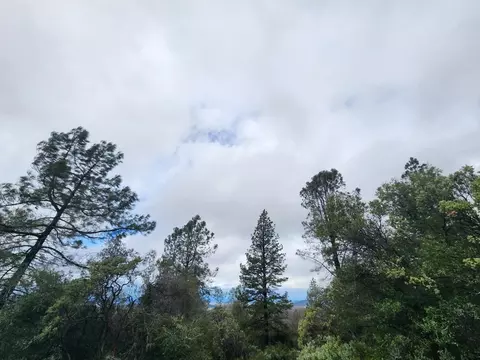 16770 Stellar Rd, Grass Valley, CA 95949 photo 5