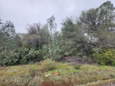 16770 Stellar Rd, Grass Valley, CA 95949 photo 39