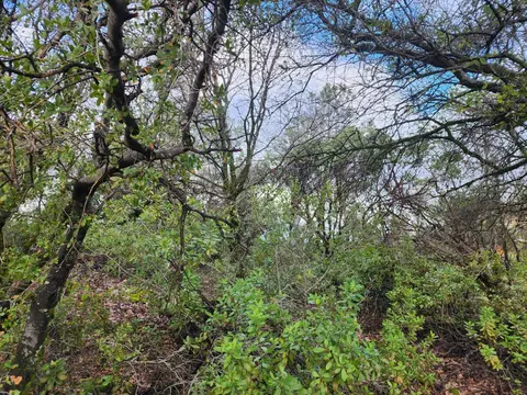 16770 Stellar Rd, Grass Valley, CA 95949 photo 30