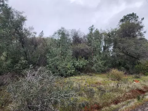 16770 Stellar Rd, Grass Valley, CA 95949 photo 40