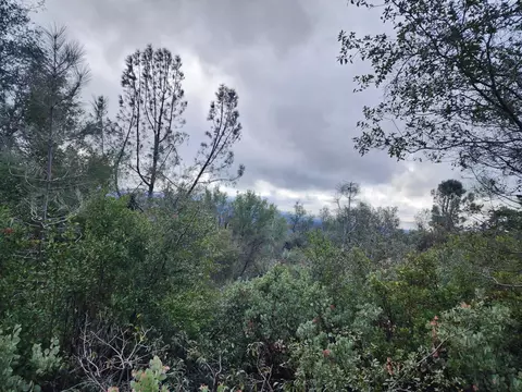 16770 Stellar Rd, Grass Valley, CA 95949 photo 17