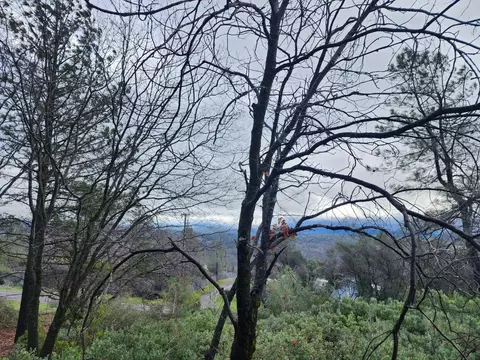 16770 Stellar Rd, Grass Valley, CA 95949 photo 24