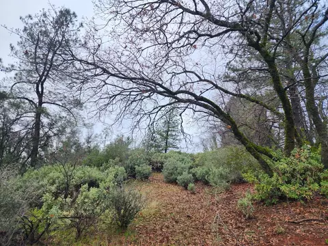 16770 Stellar Rd, Grass Valley, CA 95949 photo 22