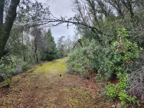 16770 Stellar Rd, Grass Valley, CA 95949 photo 43