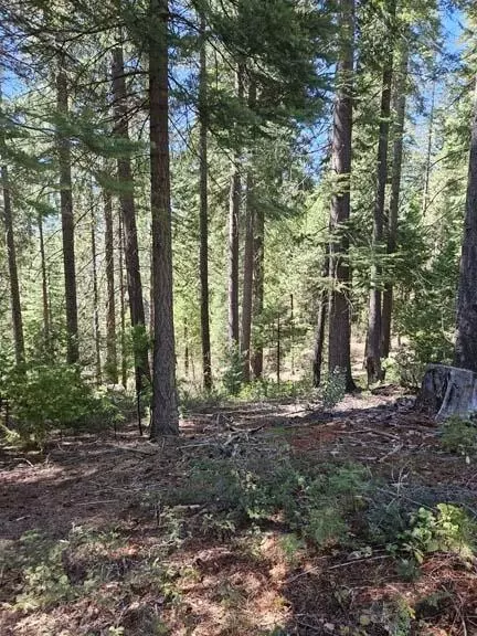 2 Indian Diggins Rd, Somerset, CA 95684