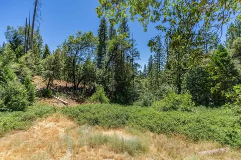 2450 Skull Flat Rd, West Point, CA 95255 photo 49