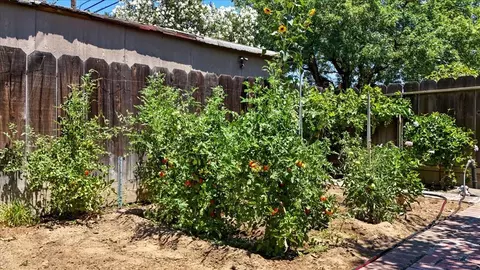 Exterior - 522 El Cajon Ave, Modesto, CA 95350 photo 23 of 30