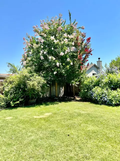 4508 Reflection Ave, Turlock, CA 95382 photo 15