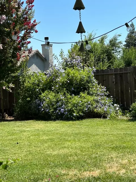 4508 Reflection Ave, Turlock, CA 95382 photo 16