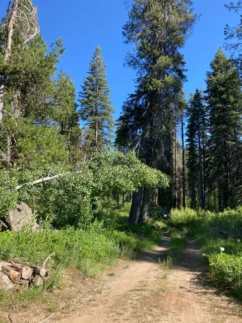 180 Bucks Meadow Dr, Bucks Lake, CA 95971