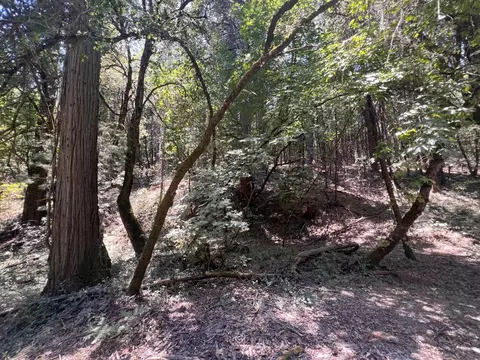 15679 Highway 26, Glencoe, CA 95232 photo 6