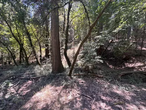 15679 Highway 26, Glencoe, CA 95232 photo 7