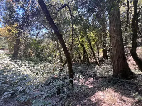 15679 Highway 26, Glencoe, CA 95232 photo 8