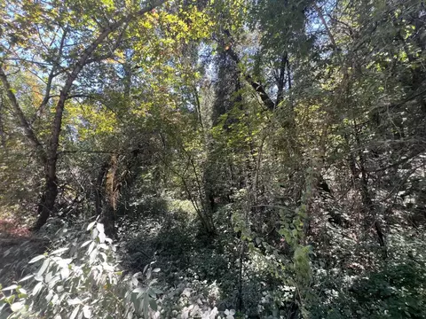 15679 Highway 26, Glencoe, CA 95232 photo 5