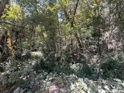 15679 Highway 26, Glencoe, CA 95232 photo 4