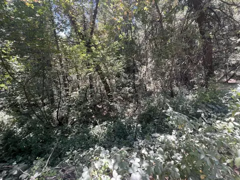 15679 Highway 26, Glencoe, CA 95232 photo 3
