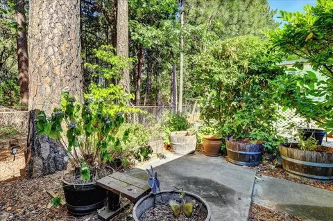 44 Primrose Ln, Grass Valley, CA 95945 photo 35