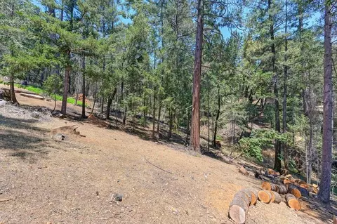 403 Knickerbocker Ct, Colfax, CA 95713 photo 52