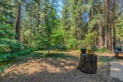 24834 Shake Ridge Rd, Volcano, CA 95689 photo 30