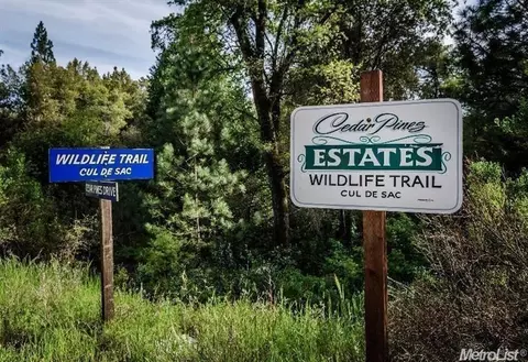 30 Wildlife Trl, Fiddletown, CA 95629
