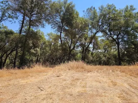 10114 Ladybird Dr, Grass Valley, CA 95949 photo 7
