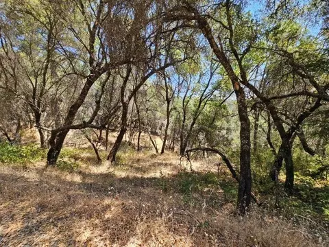 10114 Ladybird Dr, Grass Valley, CA 95949 photo 11