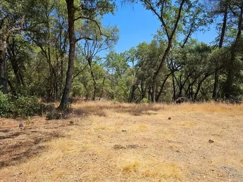 10114 Ladybird Dr, Grass Valley, CA 95949 photo 6