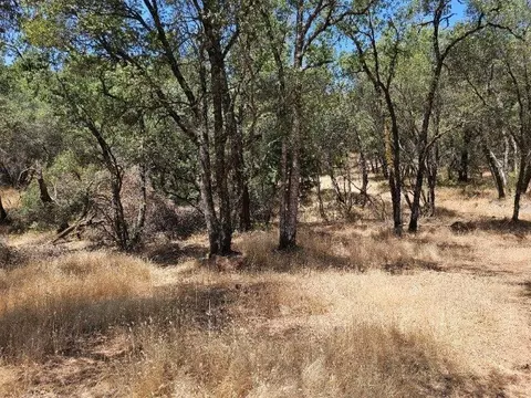 10114 Ladybird Dr, Grass Valley, CA 95949 photo 4
