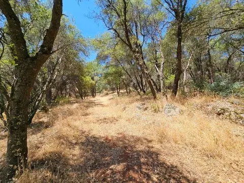 10114 Ladybird Dr, Grass Valley, CA 95949 photo 9