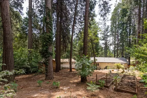 2861 Laurel Dr, Pollock Pines, CA 95726 photo 45