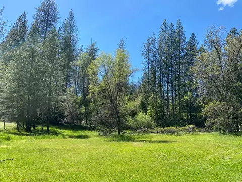 Exterior - 396 Winton Rd, West Point, CA 95255 photo 7 of 16