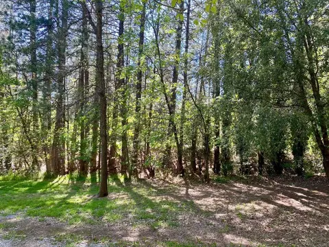 Other - 396 Winton Rd, West Point, CA 95255 photo 6 of 10