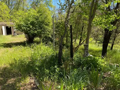 Exterior - 396 Winton Rd, West Point, CA 95255 photo 13 of 16